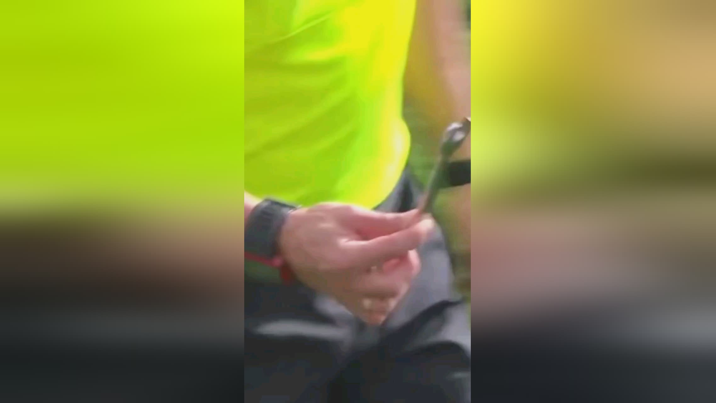 比分