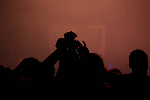 的稳定因素 的稳定因素